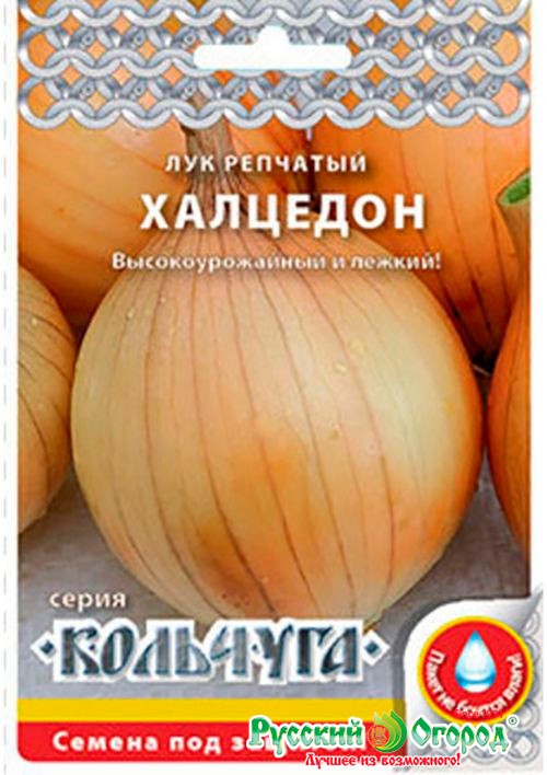 ���� ������ ������� ������ ��� �������� ��������, 1 � �������� NEW  