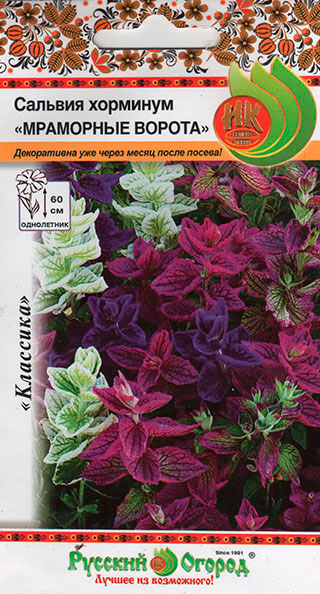 ���� ������ ������� ������ ������� �������� ��������� ������, �����, 30 ��.  