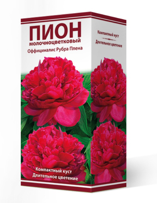 ���� ���������� �������� ����� ��������� ���� ���������������� ����������� ����� �����, 1 ��.  