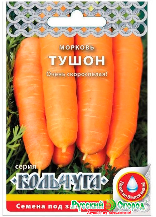 ���� ������ ������� ������ ������� �����, 2 � �������� NEW  