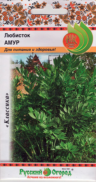 ���� ������ ������� ������ �������� ����, 0,3 �  