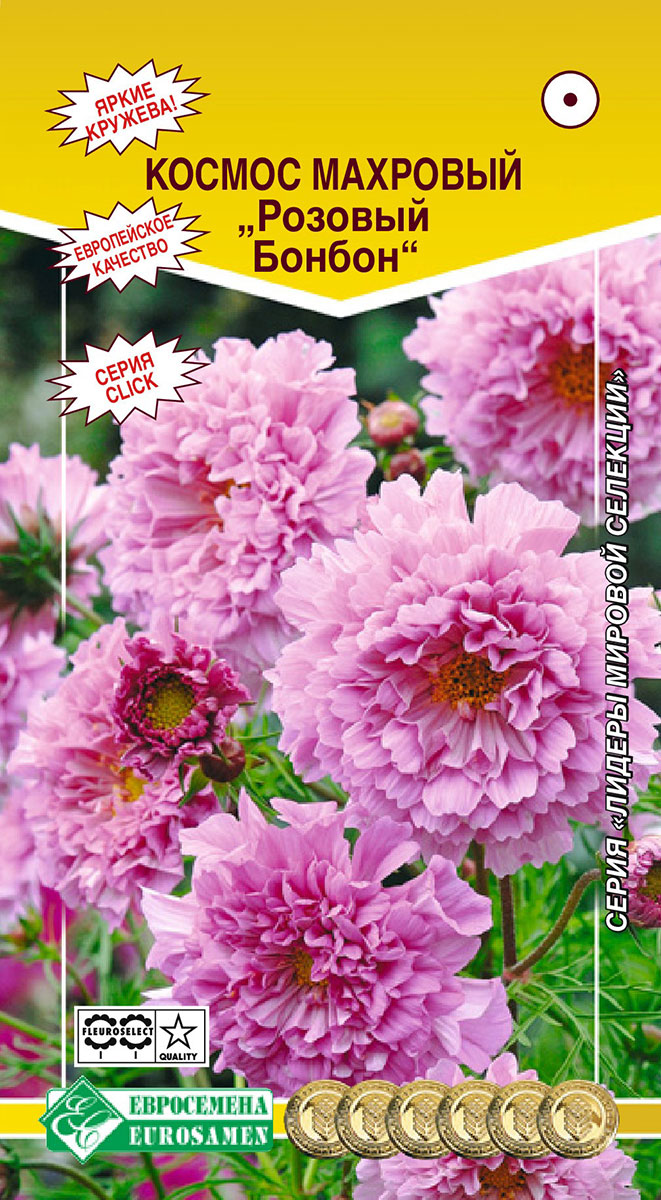 ���� ������ ���������� ������ �������� ������� ������, 0,05 � ������ ������� ��������  