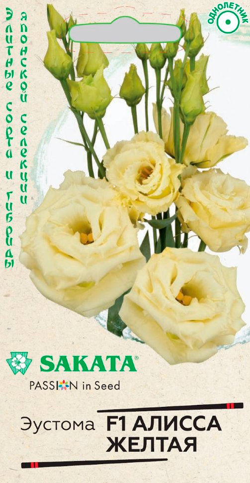         F1, 4 . Sakata    -     , -  