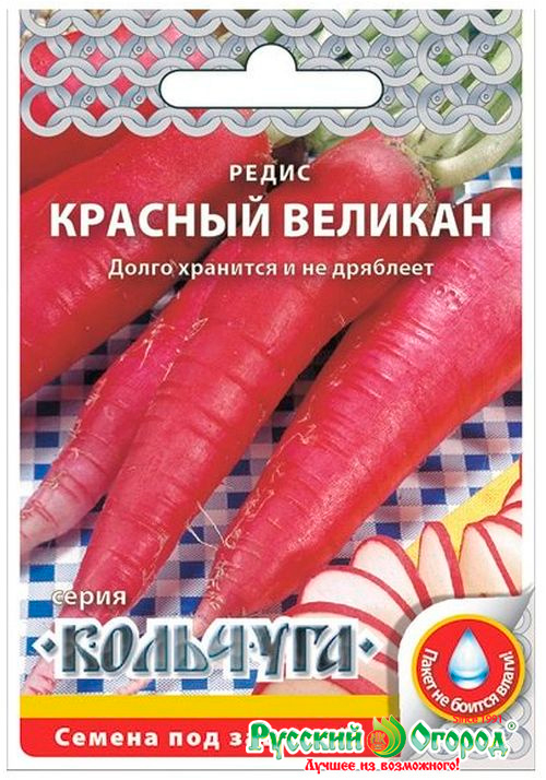 ���� ������ ������� ������ ����� ������� �������, 2 � �������� NEW  