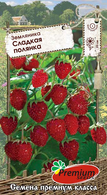    Premium seeds   ,  0,04    -     , -  