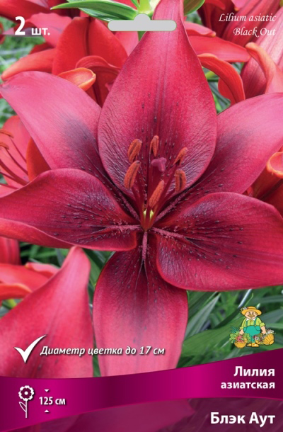 ���� ���������� �������� ����� ��������� ����� ��������� ���� ���, 2 ��.  