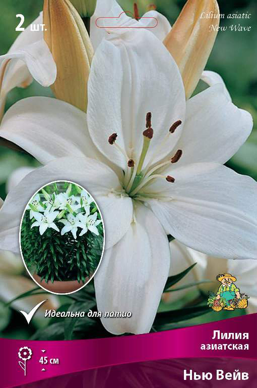 ���� ���������� �������� ����� ��������� ����� ��������� ��������� ��� ����, 2 ��.  