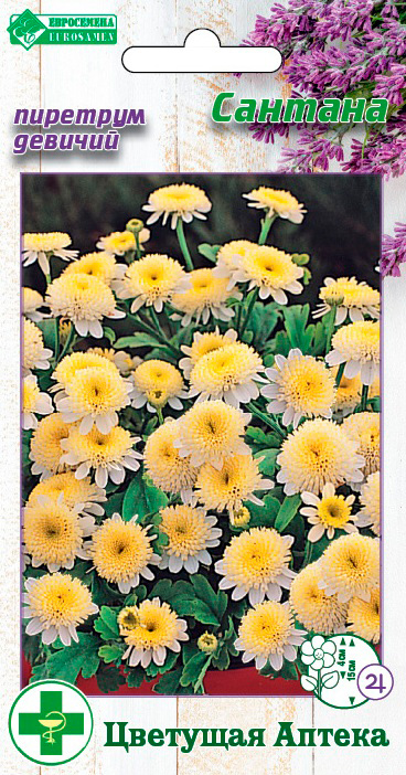 ���� ������ ���������� �������� ������� �������, 10 ��. �������� ������  