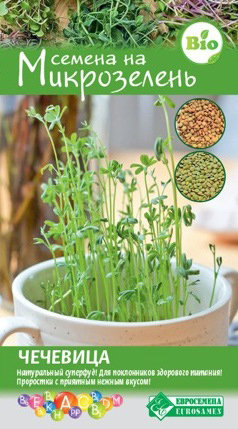 ���� ������ ���������� ����������� ��������, 5 �  