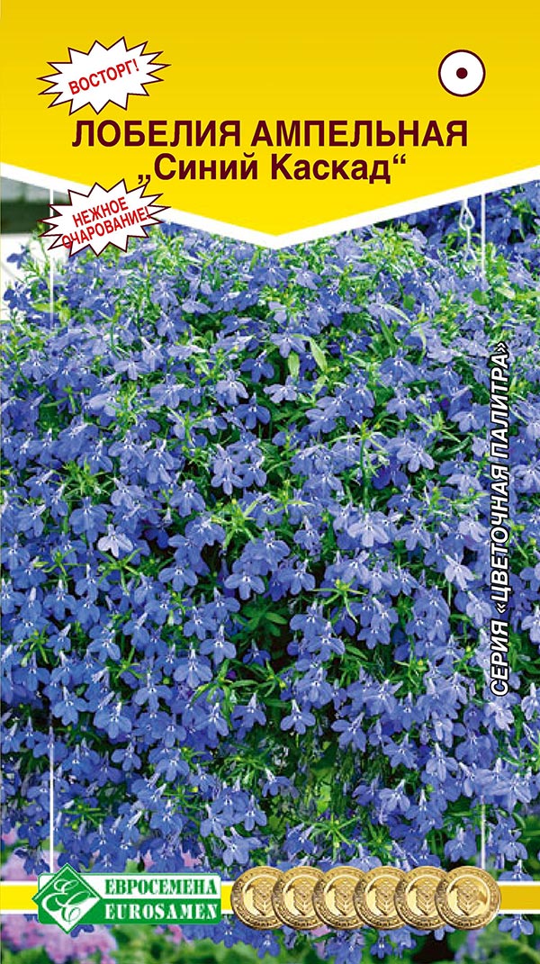 ���� ������ ���������� ������� ��������� ����� ������, 0,1 �  