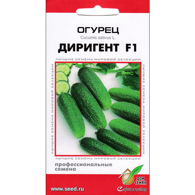���� ������ ������ ��� ����� �������� F1 6��  