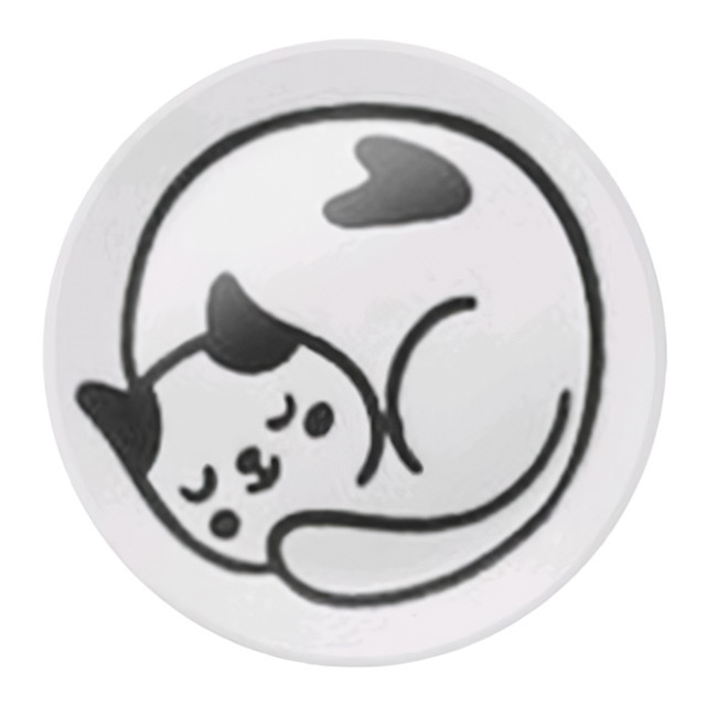 ���� ������ ATMOSPHERE Cats 10�� ��������  
