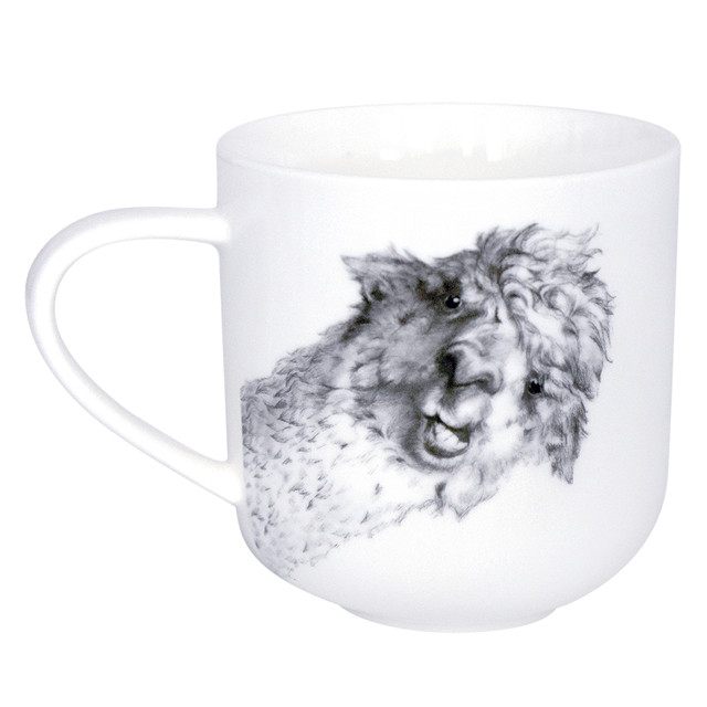 ���� ������ QUINSBERRY Llama 450�� ������  