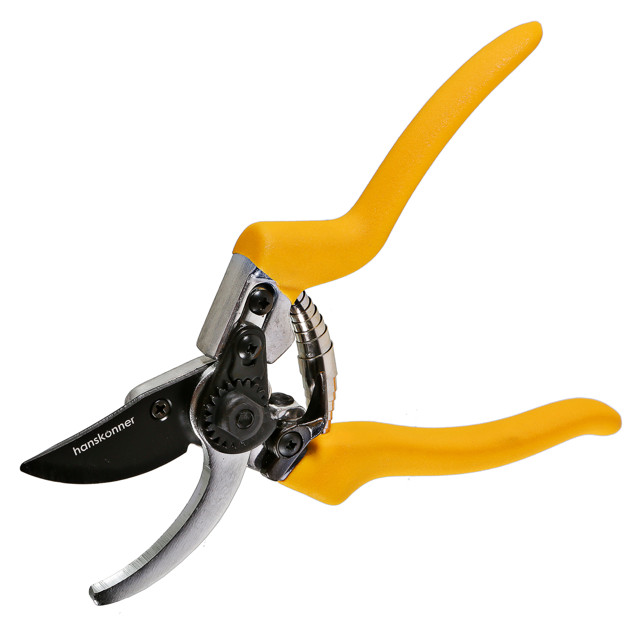 ���� ������� Hanskonner 21�� ����������� �����  