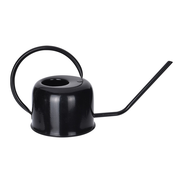���� ����� ��� ��������� �������� KOOPMAN 1,1� ����� � ������������  