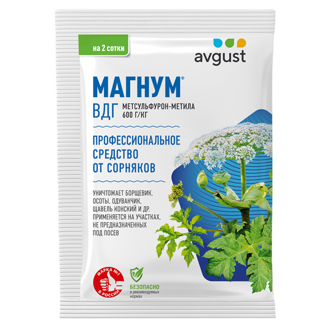 ���� �������� �� ���������� �������� AVGUST ������ 4�  