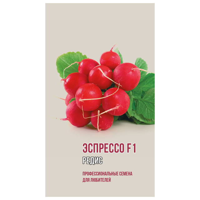 ���� ������ ����� �������� ������ F1 1�  