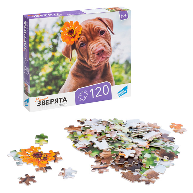 ���� ����� 120 ������� � ���-��  
