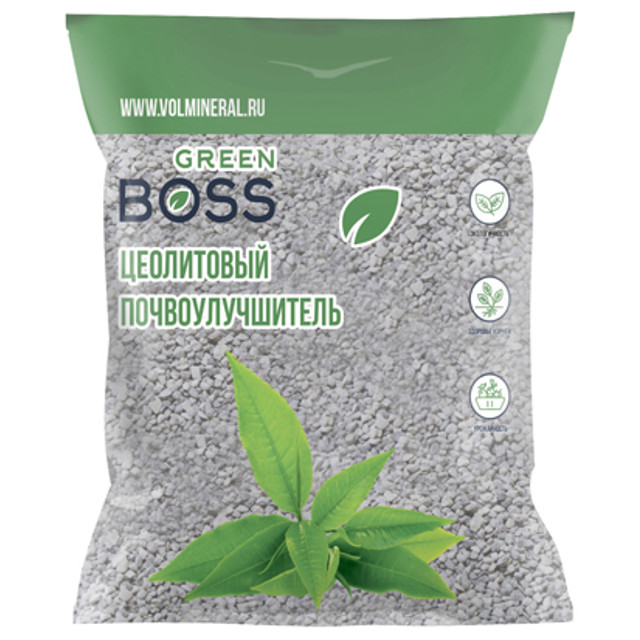 ���� ������ GREEN BOSS ��������������� 1��  