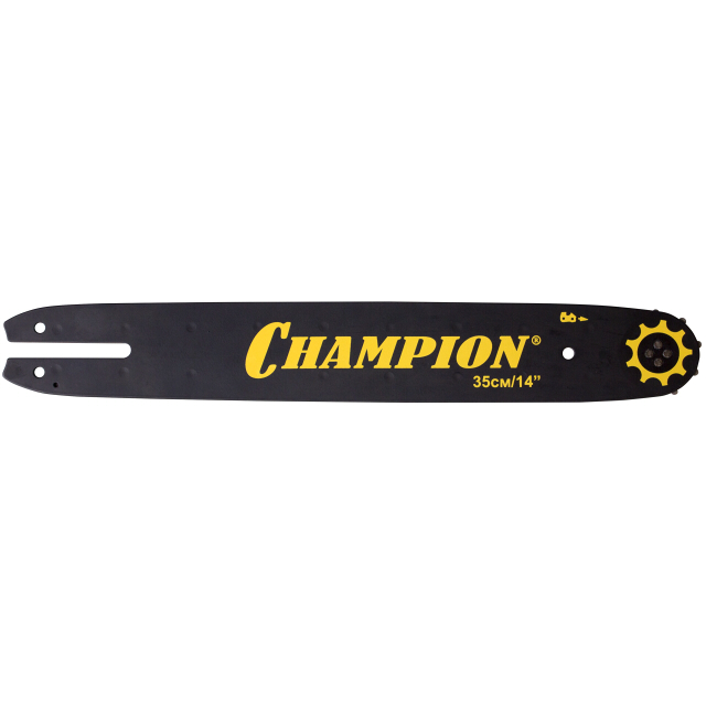 ���� ���� CHAMPION 16