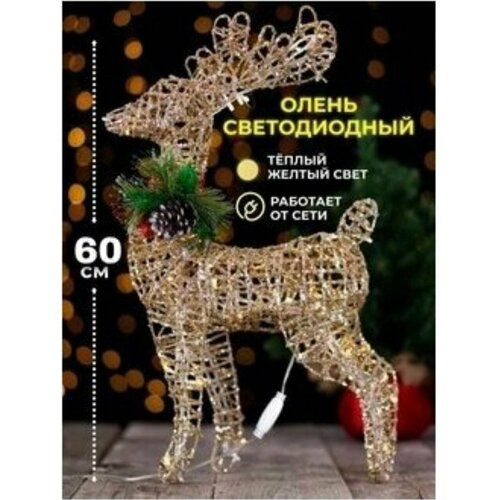 ���� ��������� ������������ ������ ����� Manufacture 60 ��