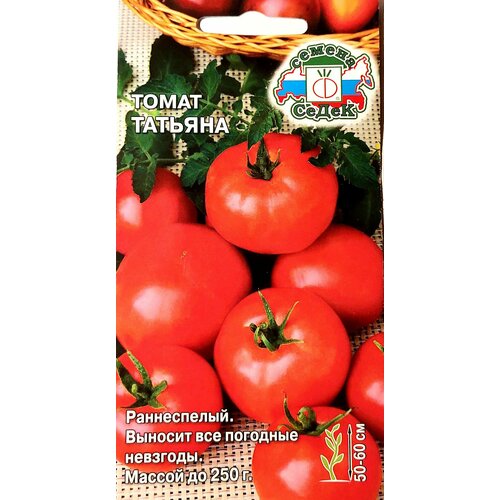 ���� ������ ����� �������