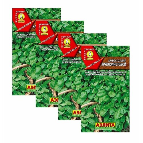 ���� ������ �����-����� �������������� 1 � (������) , 4 �������� * 1 �