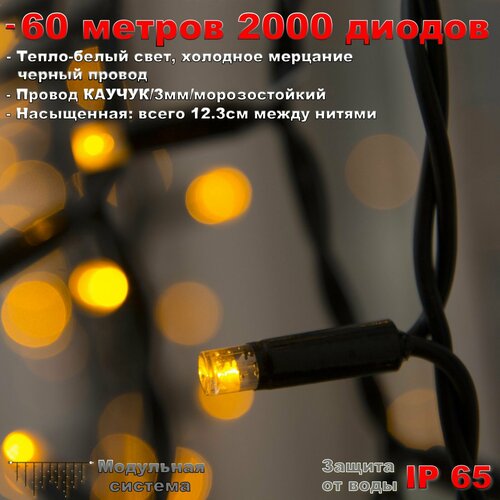      60  IP65 2000 LED  ( )    -     , -  