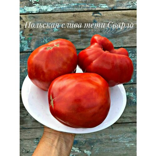 ���� ������������� ������ ������ �������� ����� ��� ������