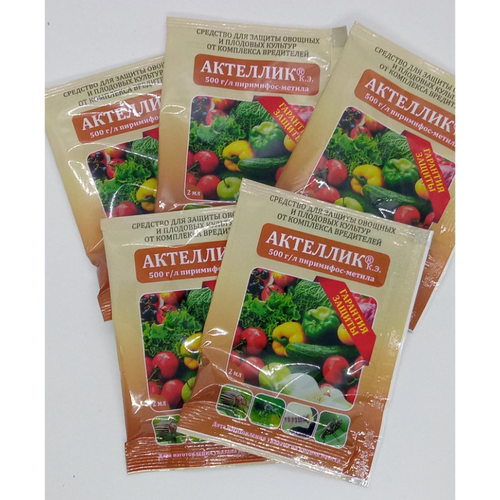 ���� �������� 2 ��, 5 ��, �������� �� ��������� ���������� ��������