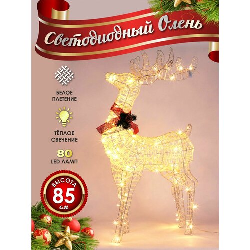 ���� ����� ���������� ������������ ���������� 80 �� �����