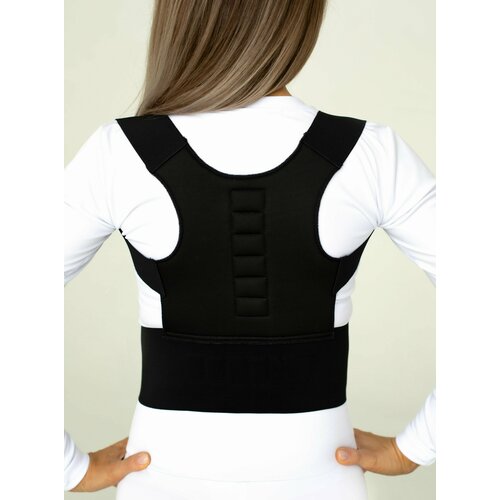 ���� ��������� ��������� ������ (���������) � ���������� ��������� BIOMAG - ������ - BIOMAGNETIC