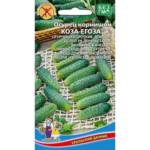 ���� ������ ������ ����-����� F1 �������� 10�� ������������������ ������ (��������� ������)