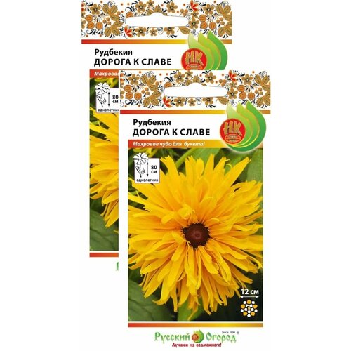 ���� �������� ������ � ����� (30 �����), 2 ������