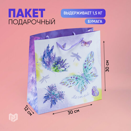 ���� ����� ���������� ������ ������� ���������� ��������, 30 x 12 x 30 ��, ����������/�����