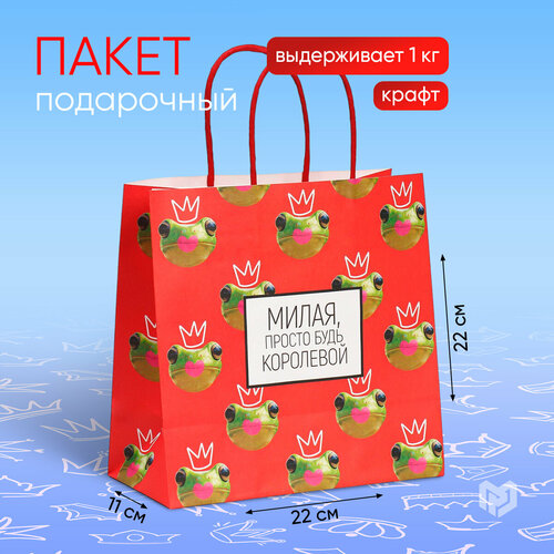 ���� ����� ���������� ���������� ����� ���������, 22 � 22 � 11 ��