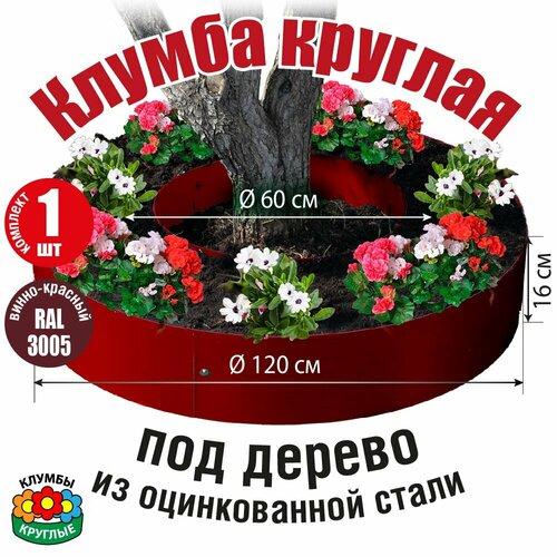 ���� ������ ������� ��� ������ ��� ������ ������������ �������