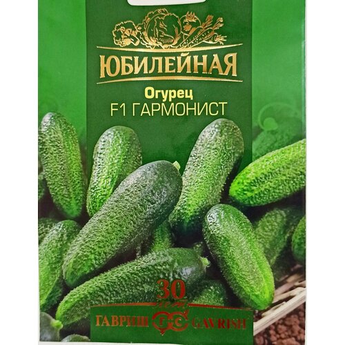 ���� ������ ��������� F1