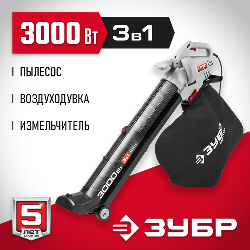 ���� ������� ������� ���� ����-3000, �����