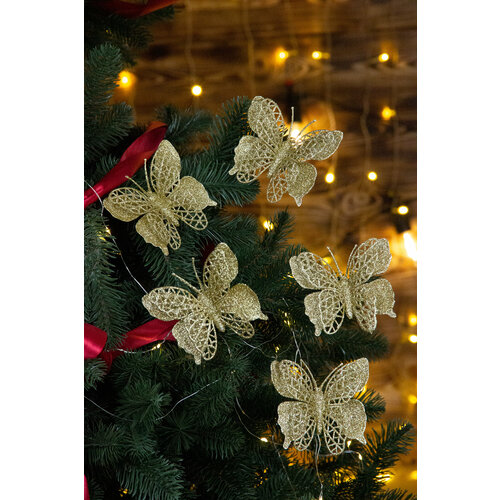 ���� ������� ������� ���������� 