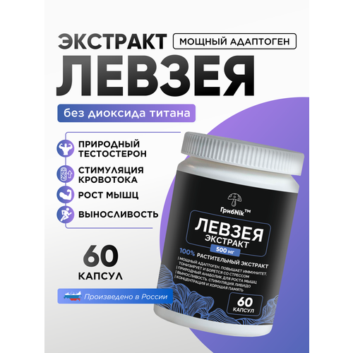 ���� �������� ������ ������� ������ ��������� 60�� 500 ��