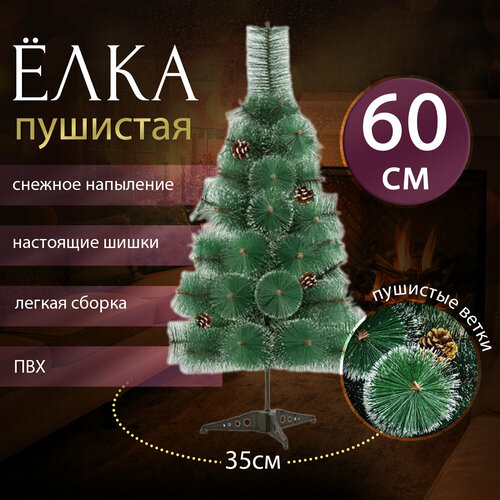 ���� ���� ������������� �� ��� ����������� � ������������ �������. ������ 60 ��.