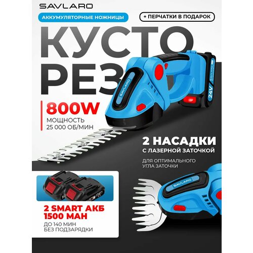 ���� �������� Savlaro, ��������������, �������, 2 ������, 800 ��, 2 ���