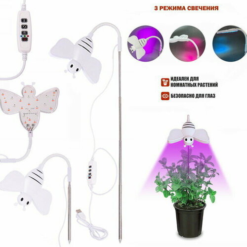        Bee 15*12*42 24LED USB CY-BEE02  -     , -,   