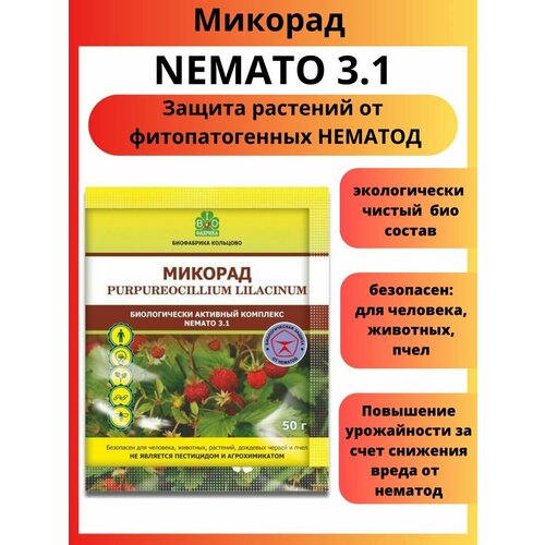    NEMATO 3.1    50   -     , -  