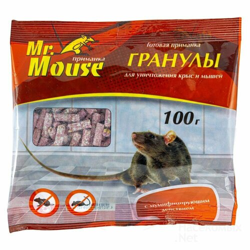  Mr.Mouse         100   3 