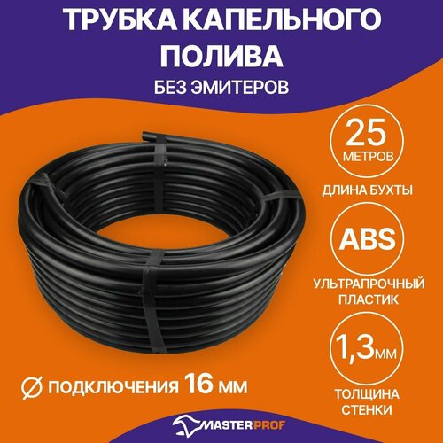 ���� Masterprof ������ ��.060106, 25 �