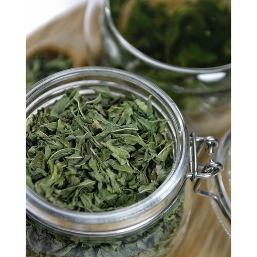 ���� ������ ������� ���� 250 �� - ����� �����, ������������, �������� �������� ���, �������