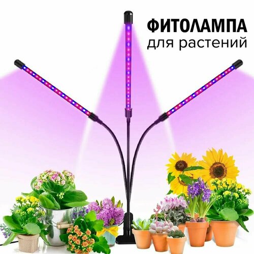   3  -       / LED c   /  /   / Uvlamp