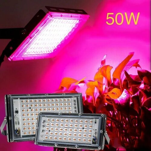    50 .         ,  ,   LED     -     , -,   